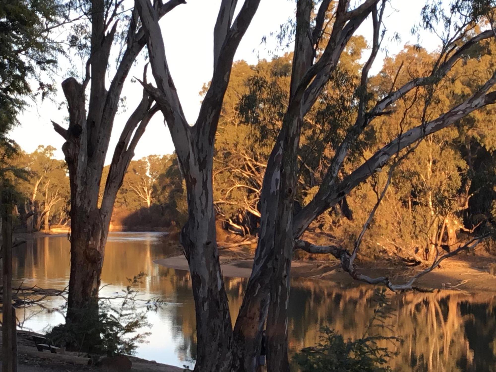 Deniliquin Riverside Caravan Park ภายนอก รูปภาพ