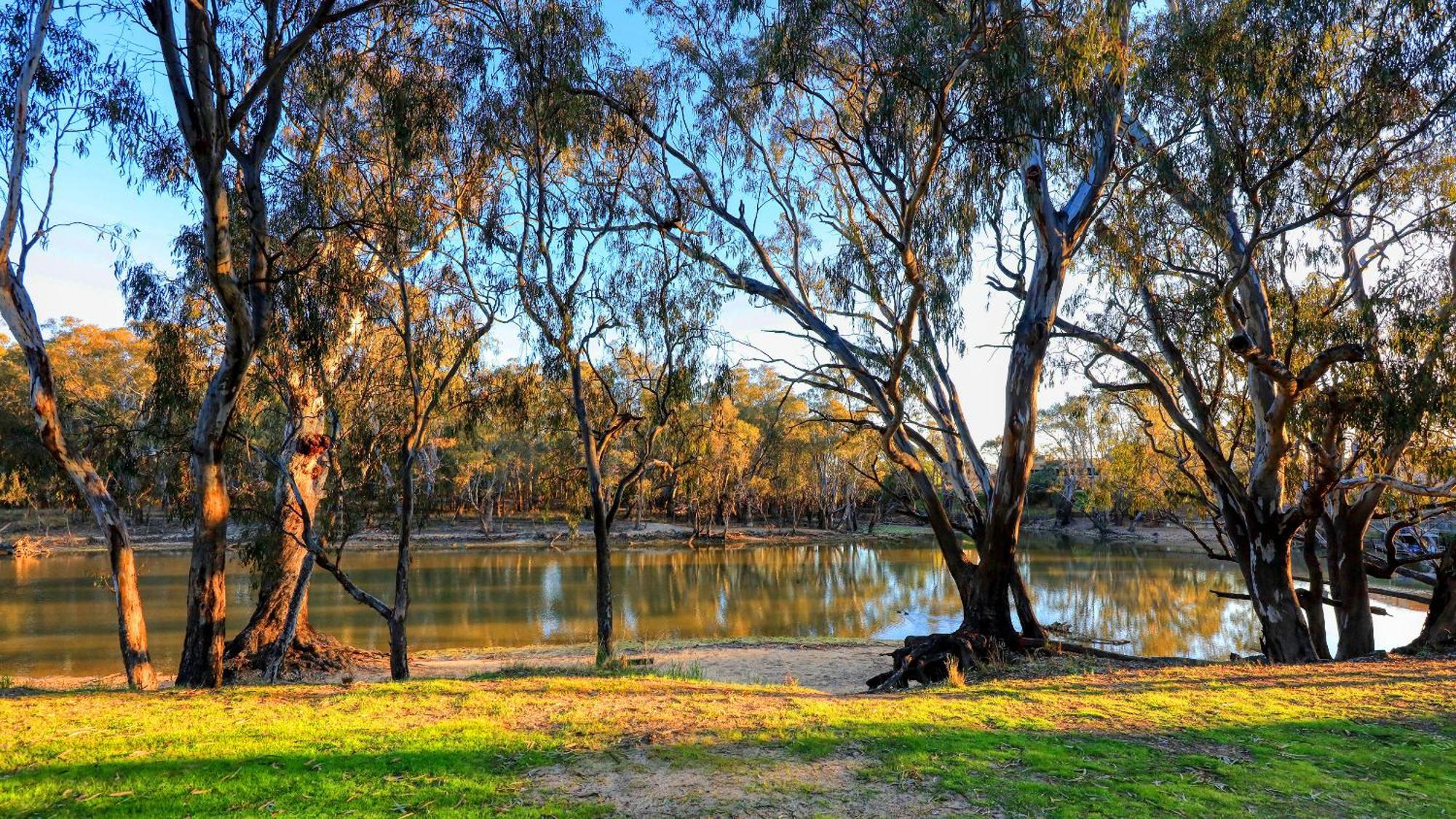 Deniliquin Riverside Caravan Park ภายนอก รูปภาพ