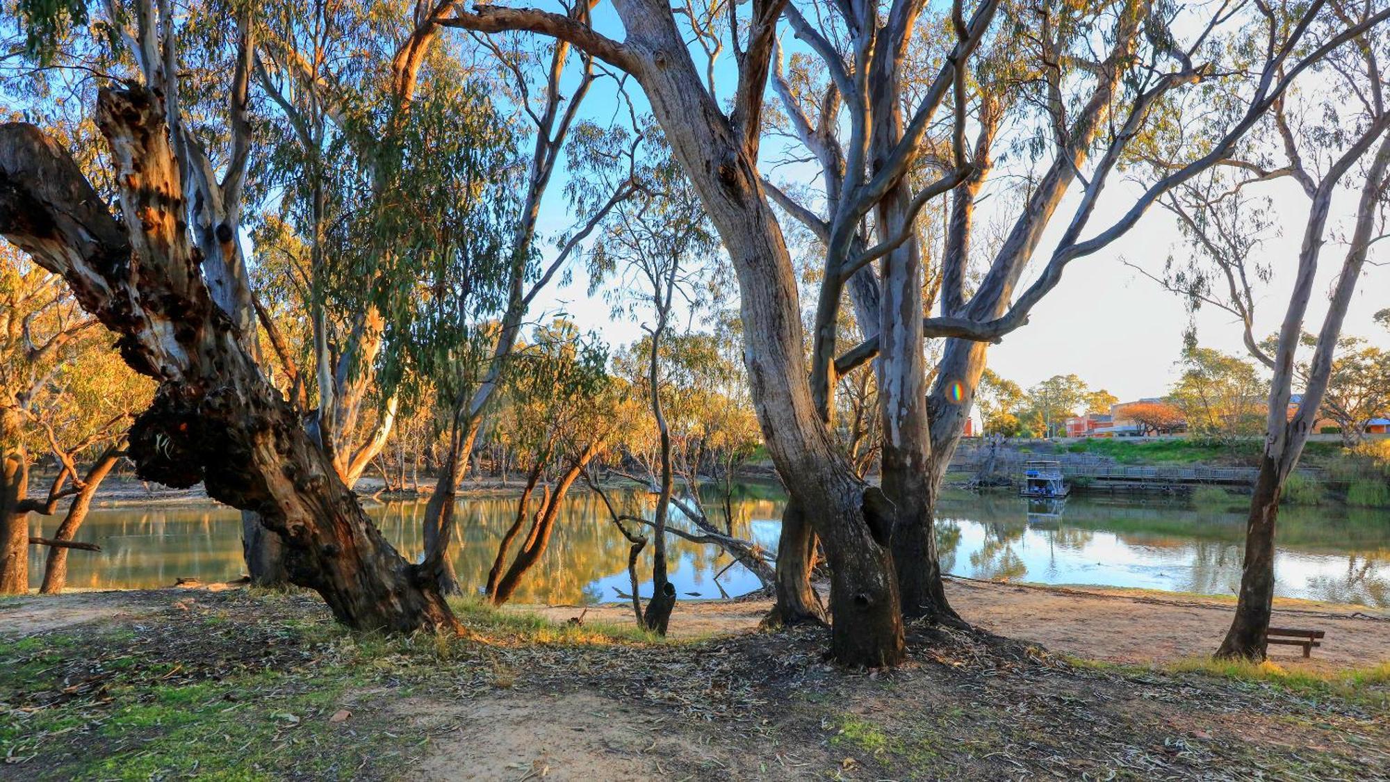 Deniliquin Riverside Caravan Park ภายนอก รูปภาพ