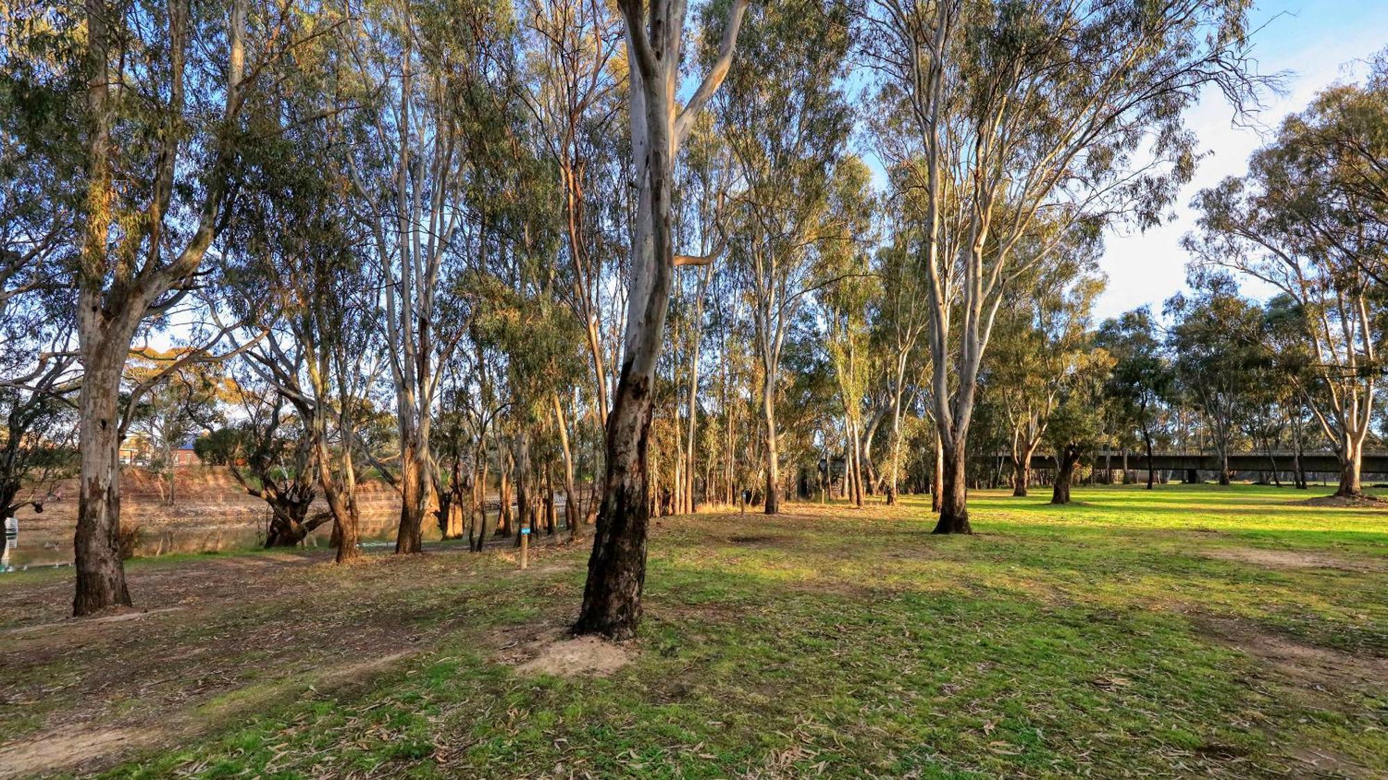 Deniliquin Riverside Caravan Park ภายนอก รูปภาพ
